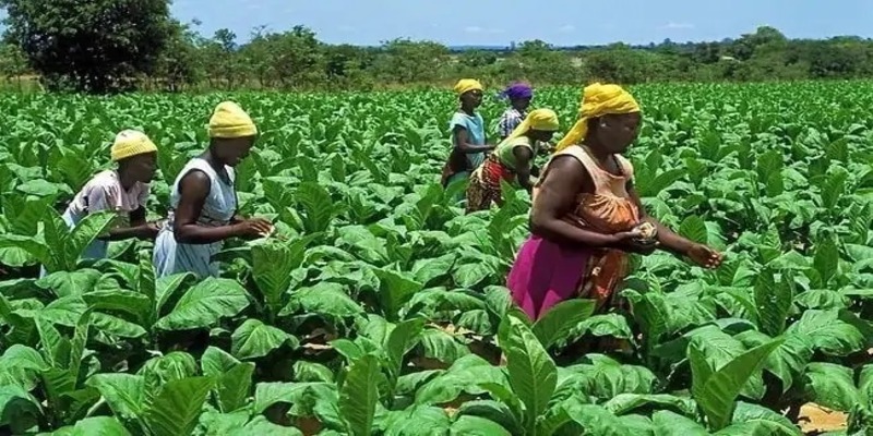 Agriculture and rural development